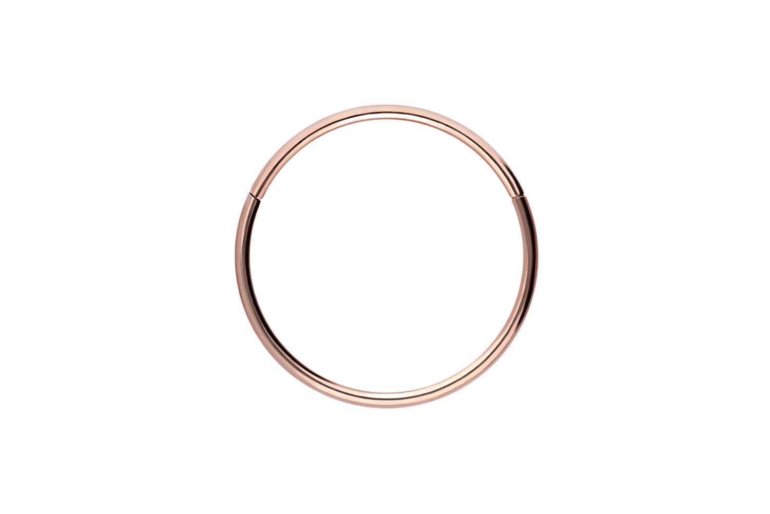 Titan Segmentring Clicker Piercing